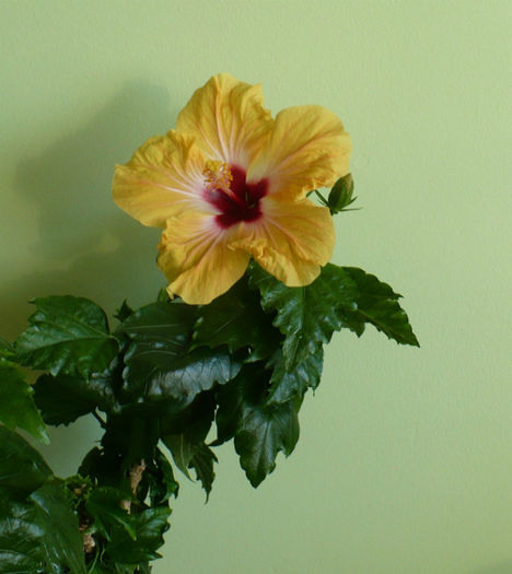 P1440015