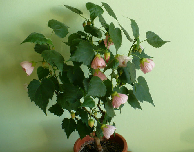 P1440004