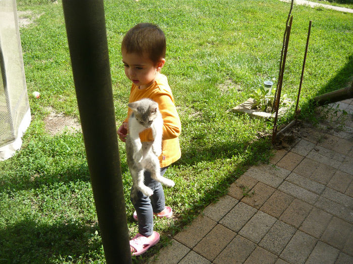 Picture 024 - pisicuta alpinista