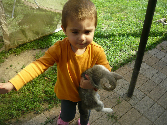 Picture 025 - pisicuta alpinista