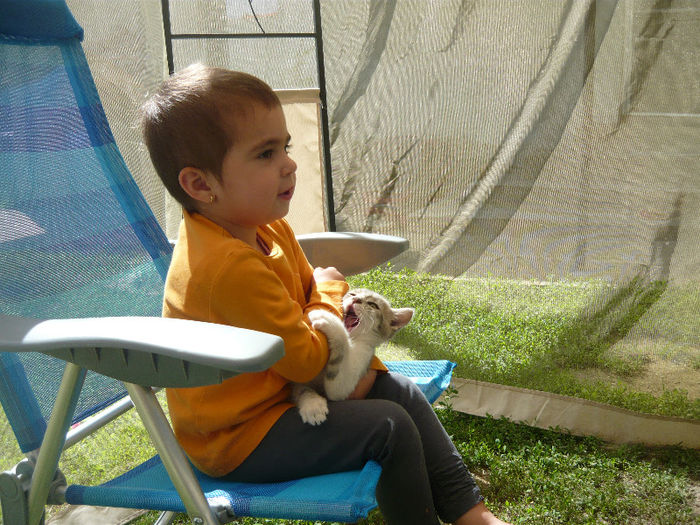 Picture 012 - pisicuta alpinista