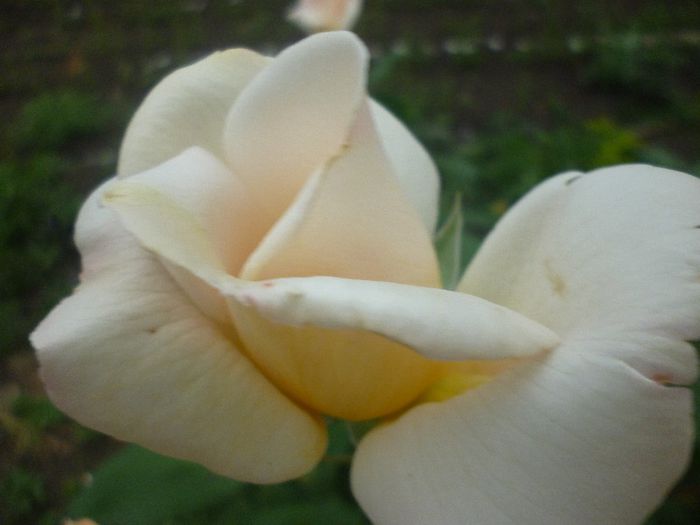 P1010866