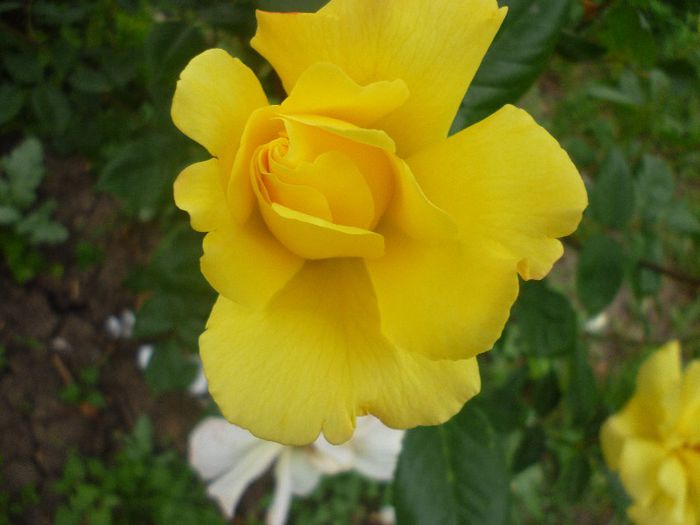 P1010871