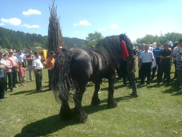 Fotografie3066 - BUCOVINA COLT DE RAI