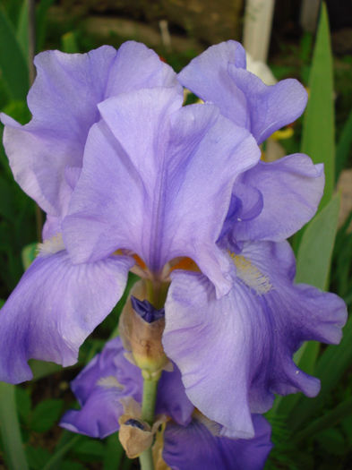 DSC06700