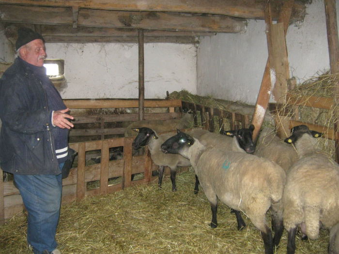 Kovacs-tel-0749621208