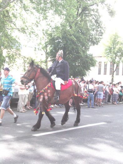 SAM_1433 - JUNII  BRASOVULUI 2013