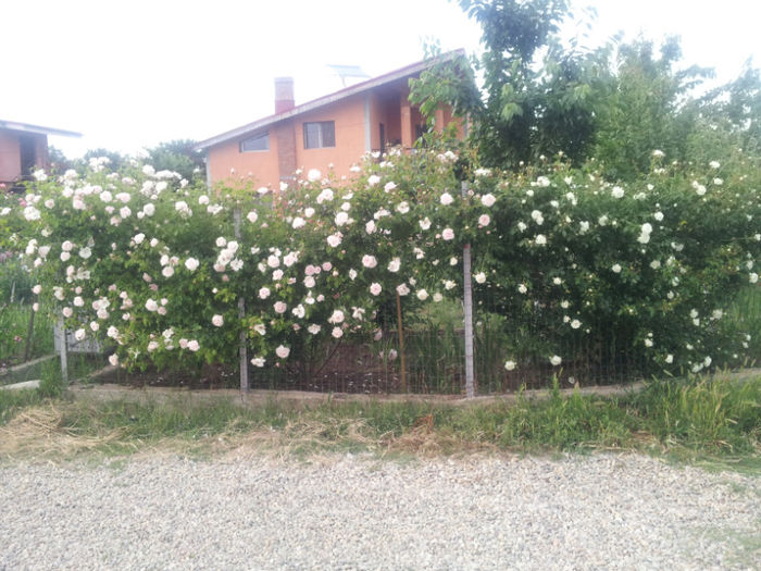 20130522_200048