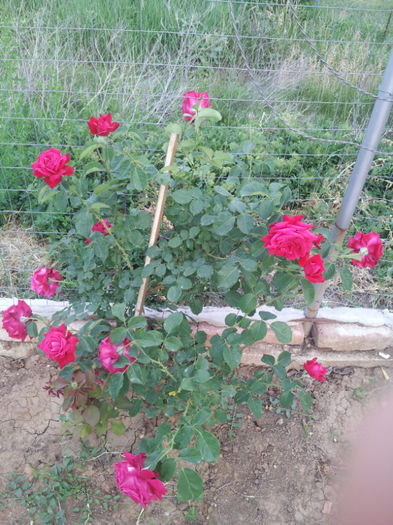 20130522_200303