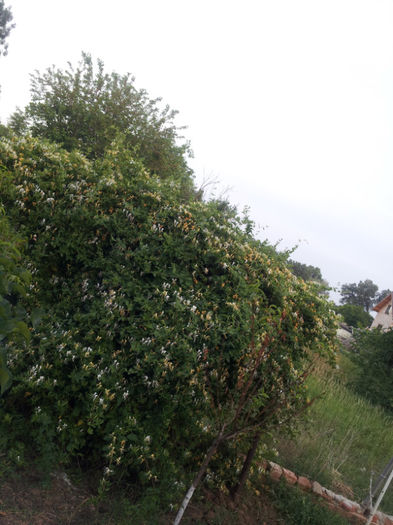 20130522_200407