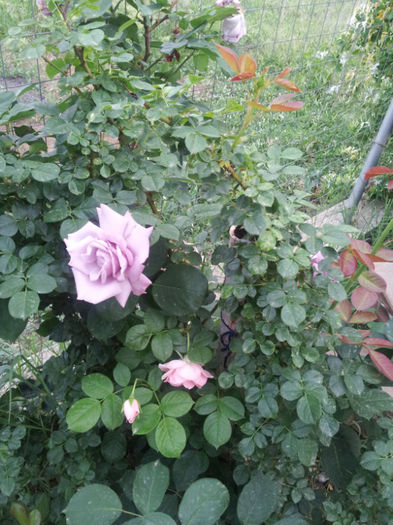 20130522_200429