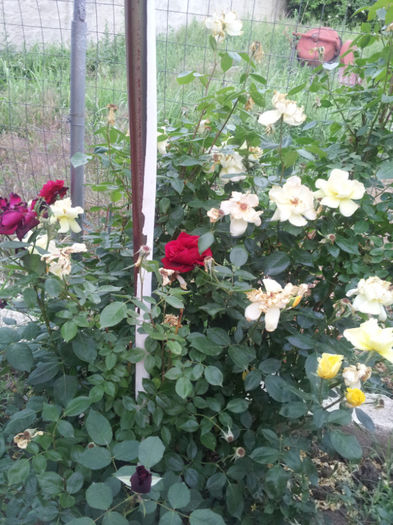 20130522_200449
