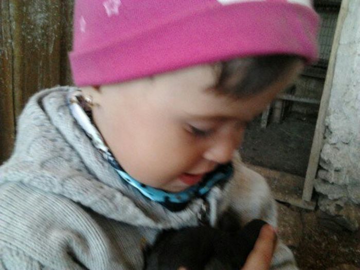1366004664835 - poze 2013