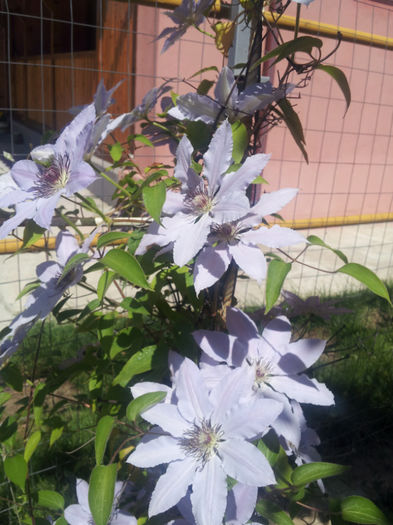 20130511_115345