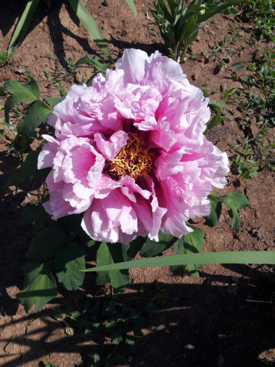20130503_113045