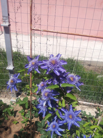 20130511_115257