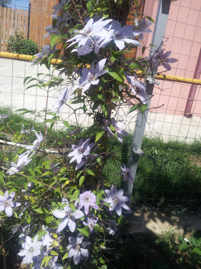 20130511_115339