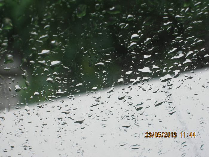 IMG_4194 - O ploaie de mai