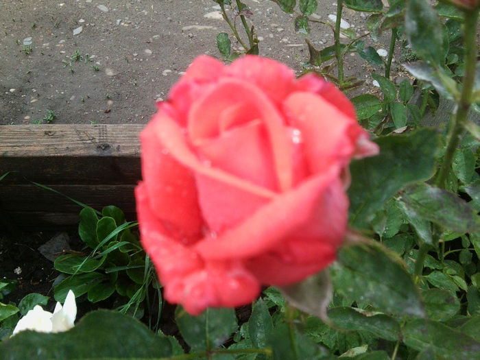 Fotografie2004