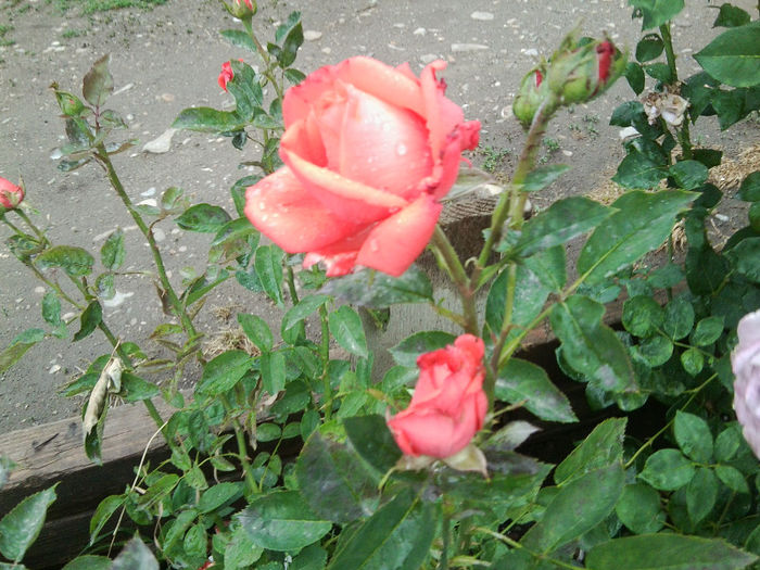 Fotografie2005