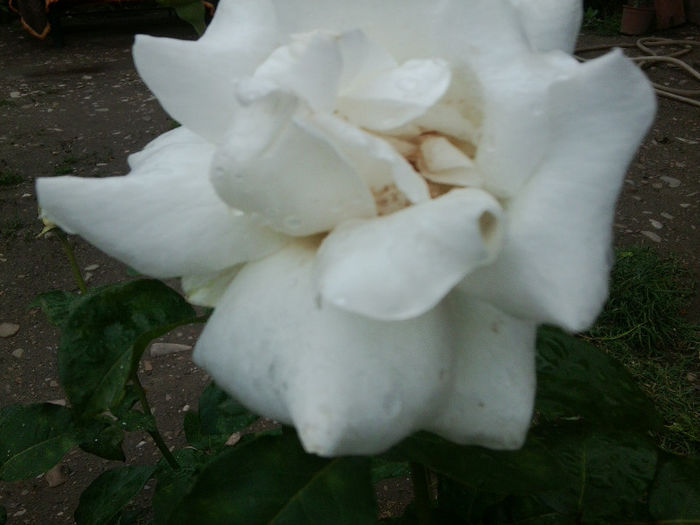 Fotografie2010