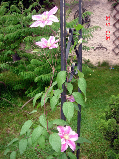 Patricia Ann Fretwell