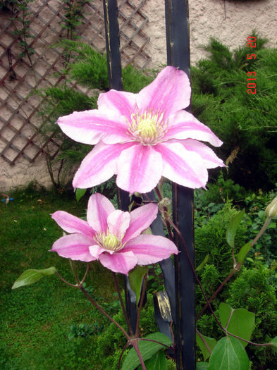 Patricia Ann Fretwell