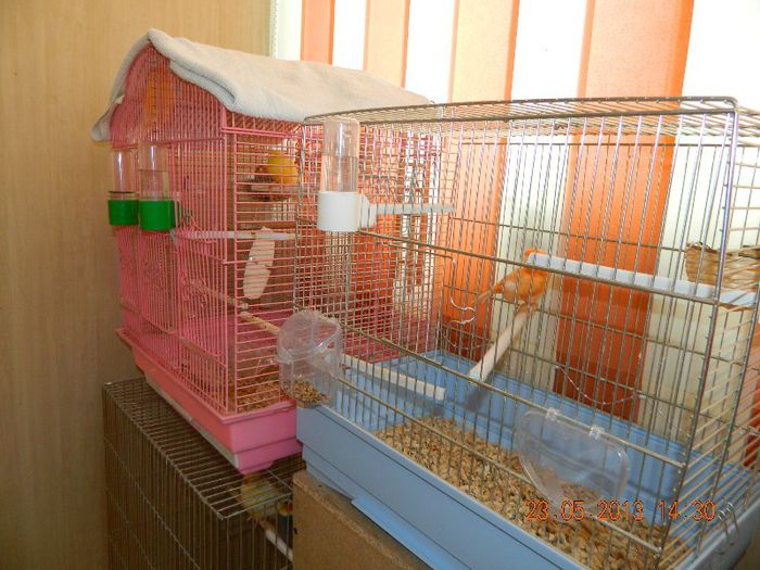 DSCN2646