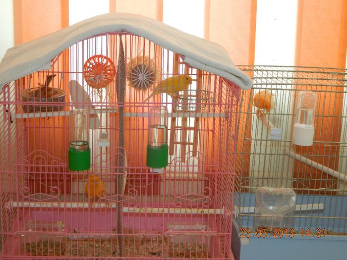 DSCN2649