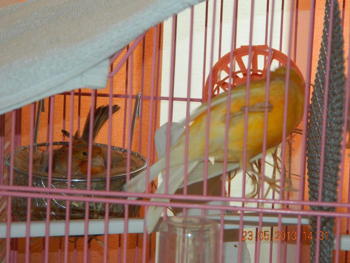 DSCN2650