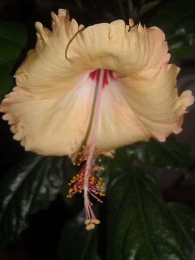 si multe multumiri !!!