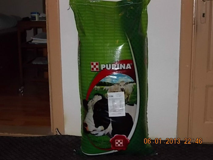 DSCN0023 - Furaje Purina