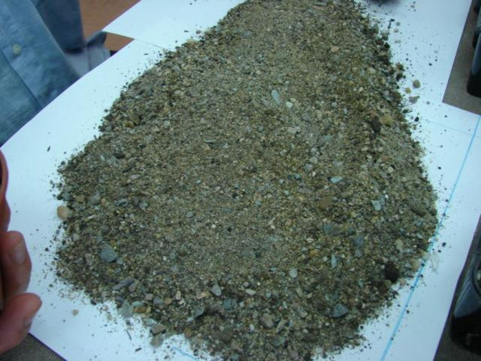 DSC04607; amestec de sol: nisip de rau, nisip de cariera din Bulgaria, piatra sfaramata, caramida sfaramata, f putin 20% pamant de frunze de Juniperus communis.

