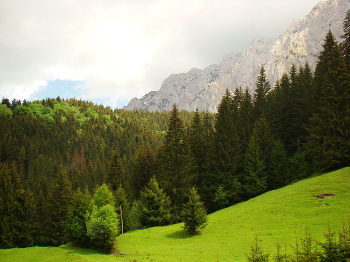 Valea lui Ivan - 1 Plaiul Rucarului