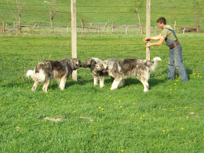 Mures, Magdalena si Martin