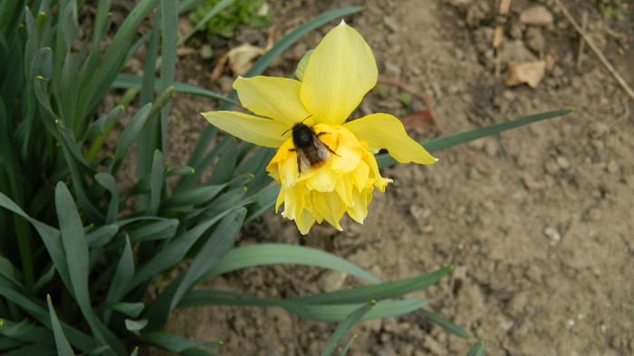 DSCN0662