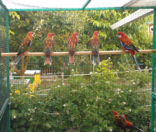 Fantasia Painting (2)