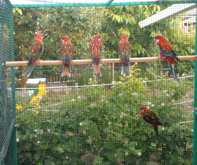 Fantasia Painting (3)