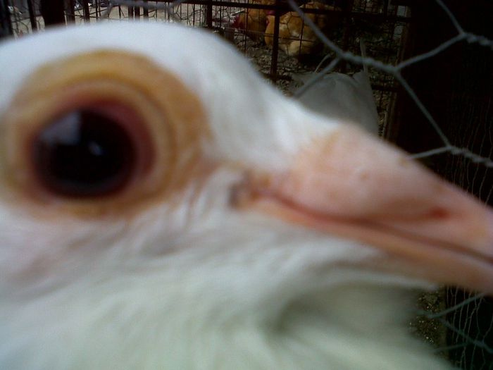 IMG00777-20130523-1624