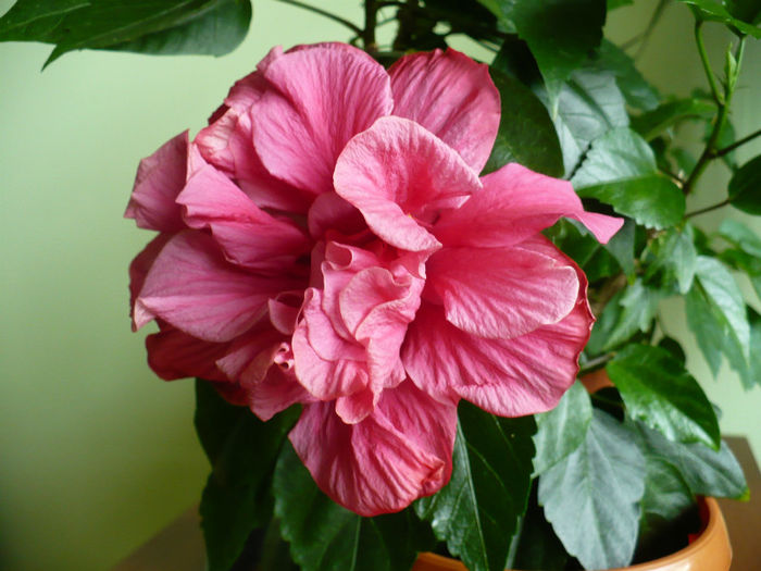 P1440110