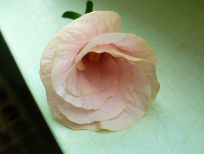 P1440085