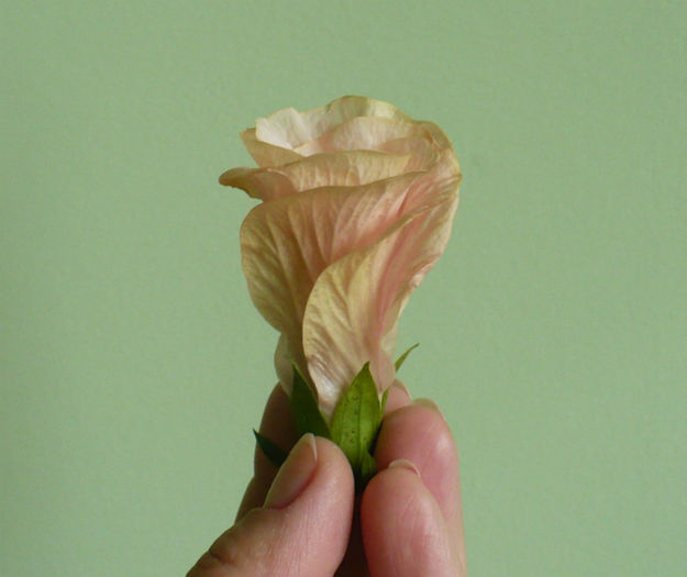 P1440135