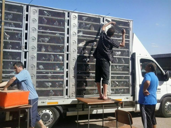 IMBARCAREA BIRLAD 2013