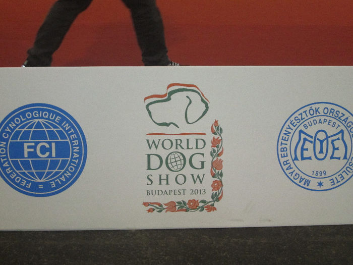 IMG_0676 - world dog show  budapest  2013