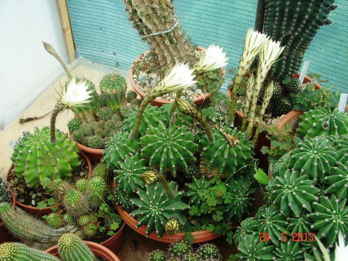 DSC01001