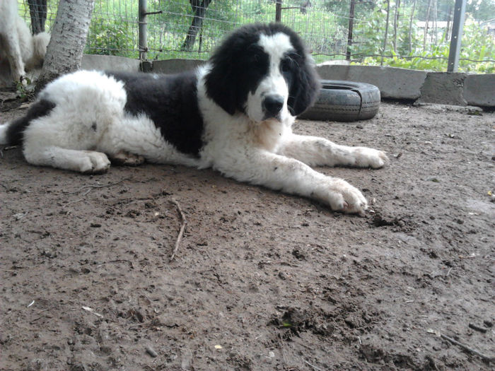 2013-05-24 11.14.15 - Molda