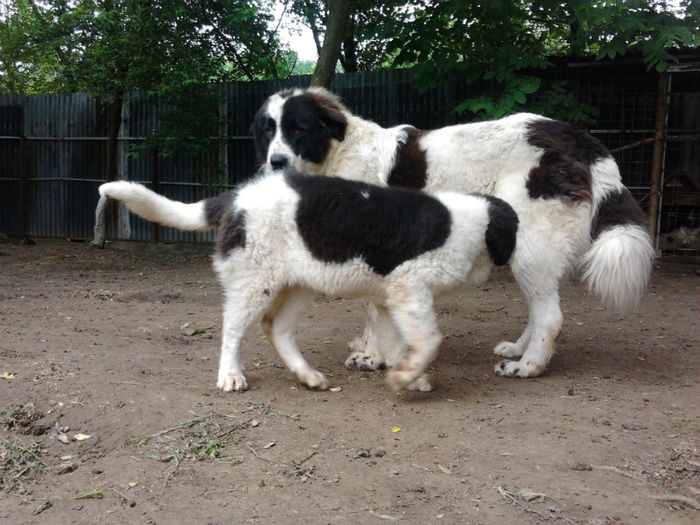 2013-05-24 11.17.10 - Molda