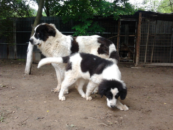 2013-05-24 11.17.27 - Molda