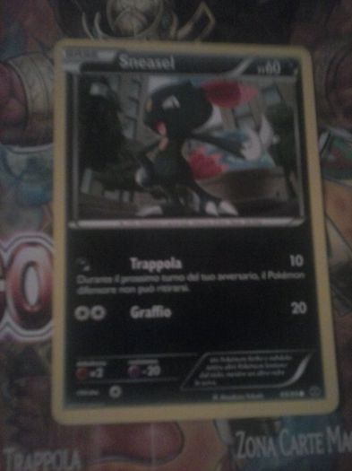 CAM00580 - Pokemon_2012