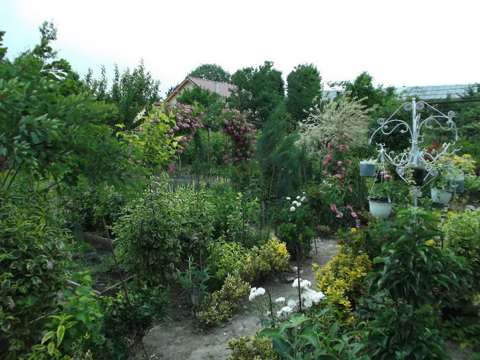 DSCF3202